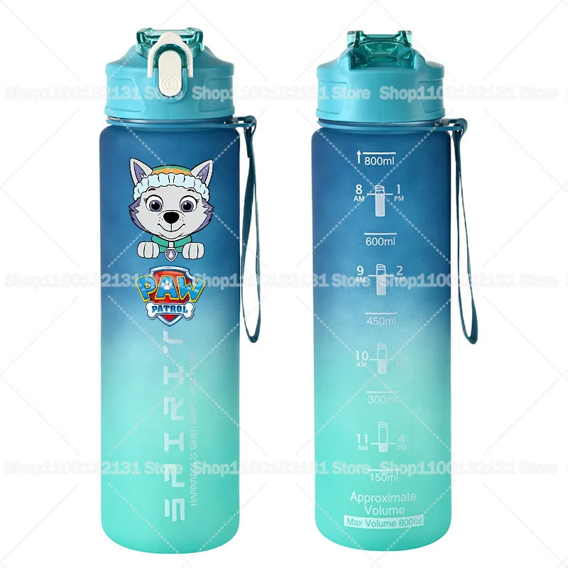 Dětská matná sportovní láhev Paw Patrol (800 ml)
