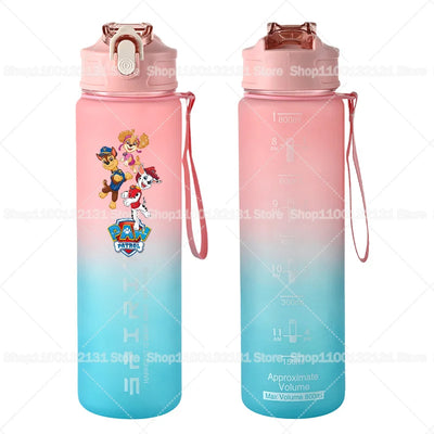 Dětská matná sportovní láhev Paw Patrol (800 ml)