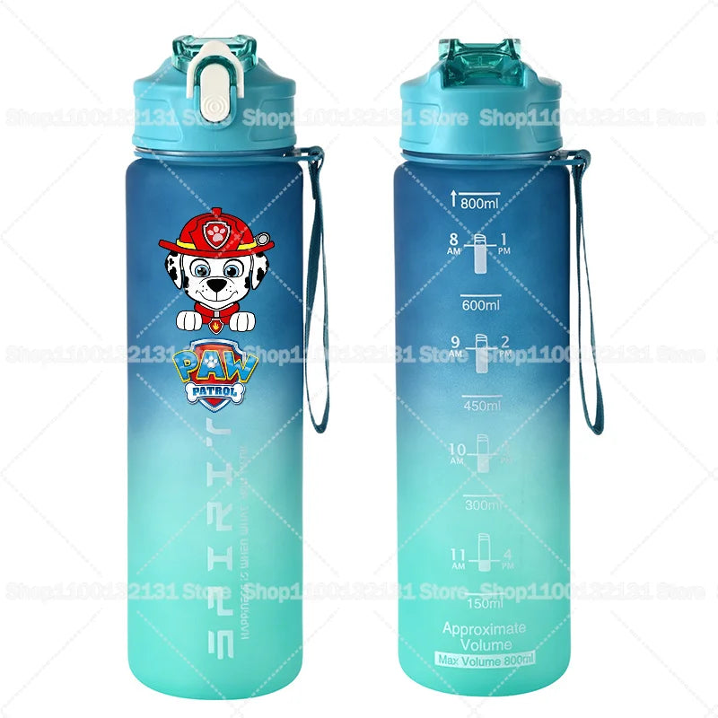 Dětská matná sportovní láhev Paw Patrol (800 ml)